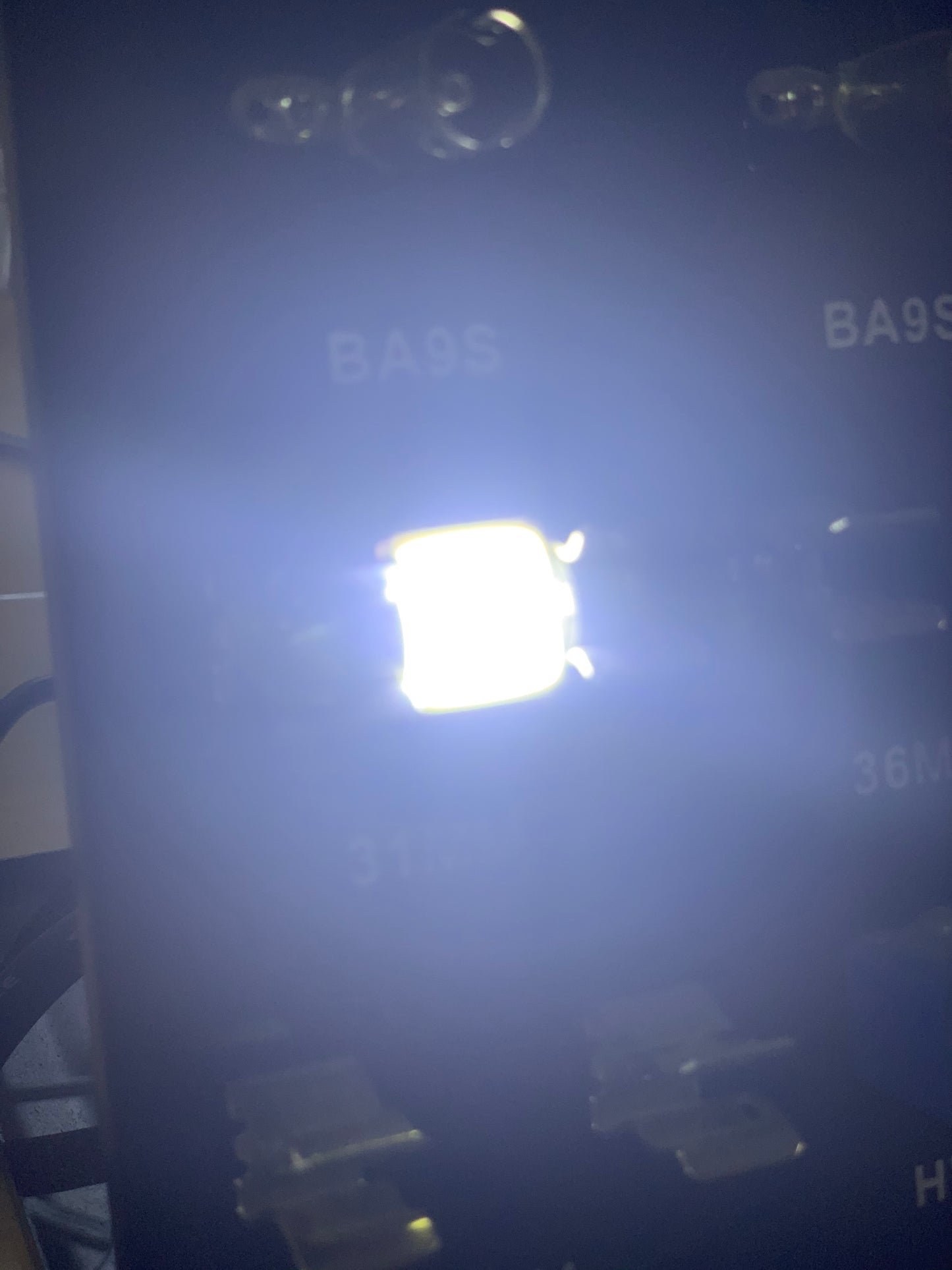 Festoon Bulbs FESL31/36/41/42/44