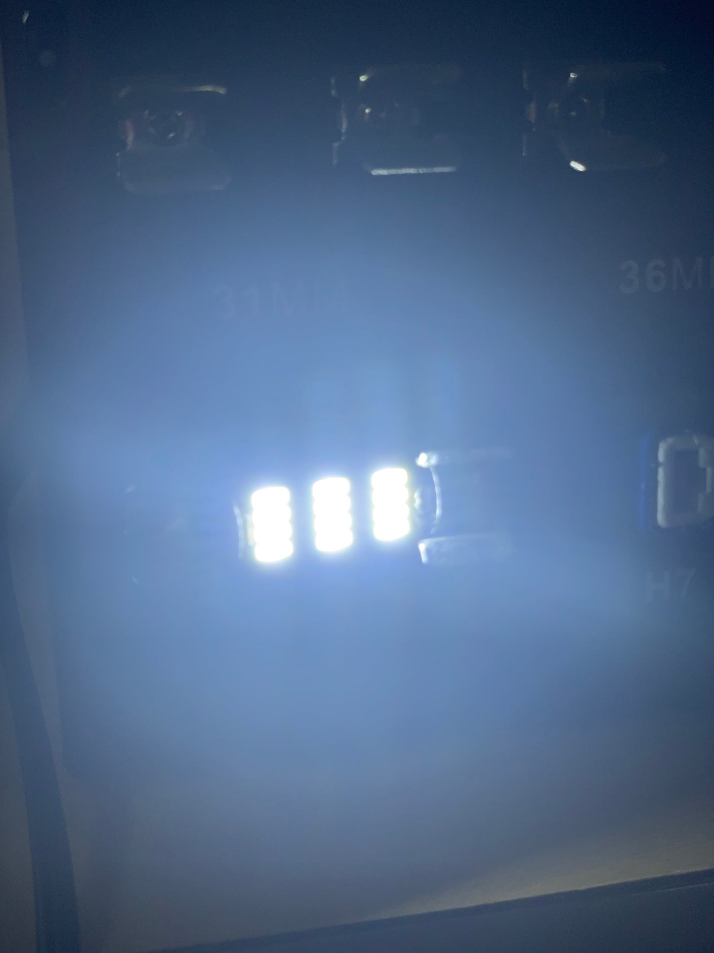 Festoon Bulbs FESL31/36/41/42/44