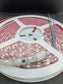 Multicolor RGB Waterproof Strip Lighting 300 LEDs 12 Volt  STP5M-300-R
